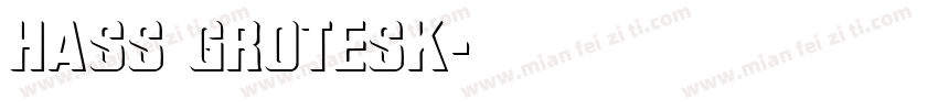 hass grotesk字体转换